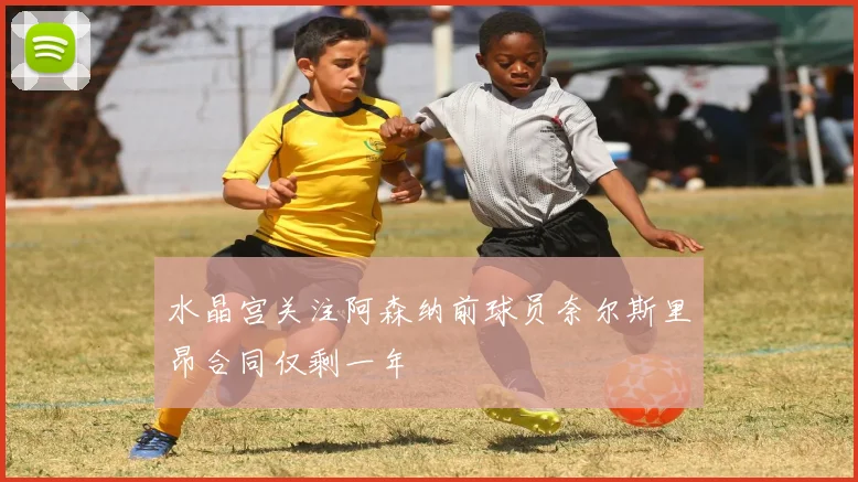 水晶宫关注阿森纳前球员奈尔斯里昂合同仅剩一年