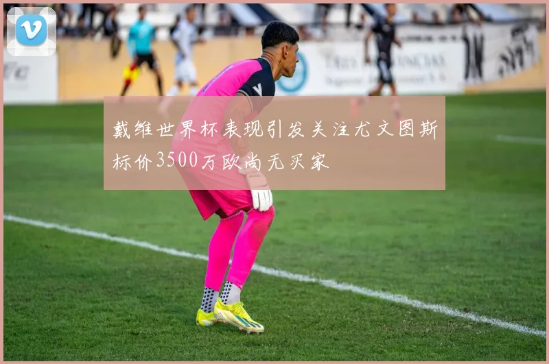 戴维世界杯表现引发关注尤文图斯标价3500万欧尚无买家