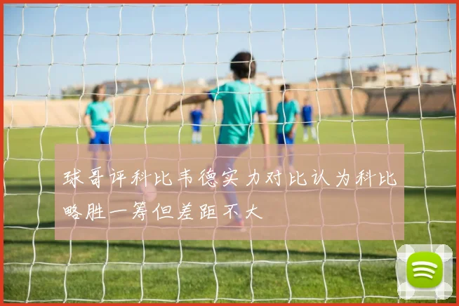 球哥评科比韦德实力对比认为科比略胜一筹但差距不大